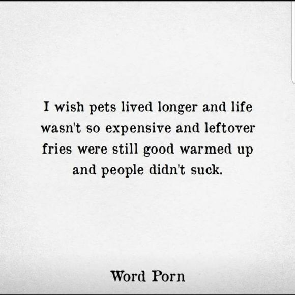 Meet your Posher, Grace - Picture 1 of 1